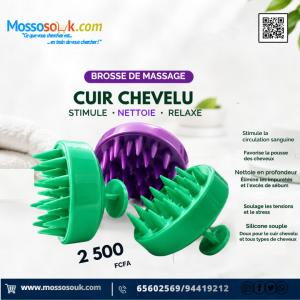 Brosse de Massage du Cuir Chevelu